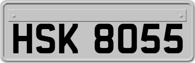 HSK8055
