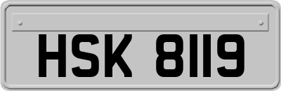 HSK8119