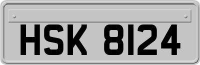 HSK8124