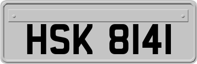 HSK8141