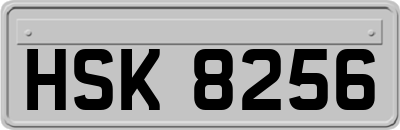HSK8256