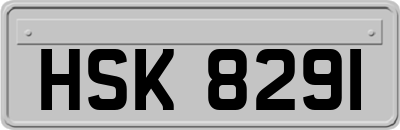 HSK8291