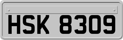 HSK8309