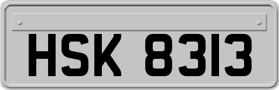 HSK8313