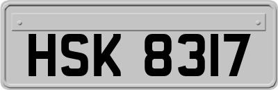 HSK8317