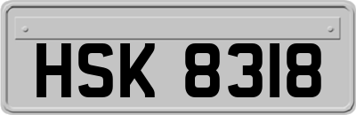 HSK8318