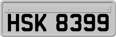 HSK8399
