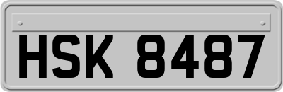 HSK8487