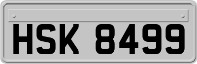 HSK8499