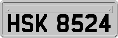 HSK8524
