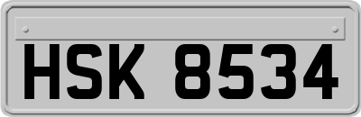 HSK8534
