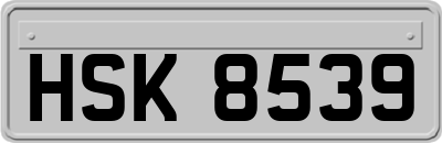 HSK8539