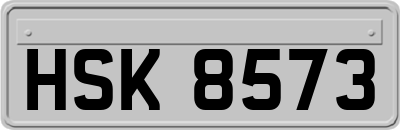 HSK8573
