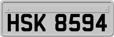 HSK8594