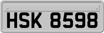 HSK8598