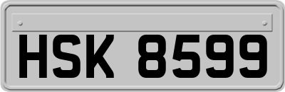 HSK8599