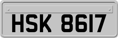 HSK8617