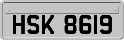 HSK8619
