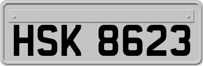 HSK8623