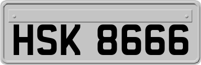 HSK8666