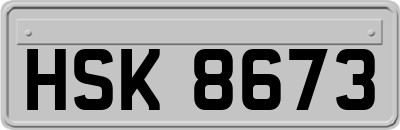 HSK8673