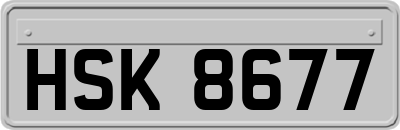 HSK8677