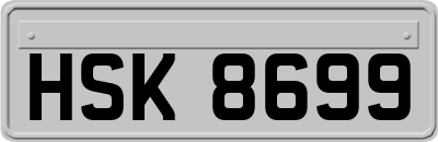 HSK8699
