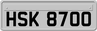 HSK8700