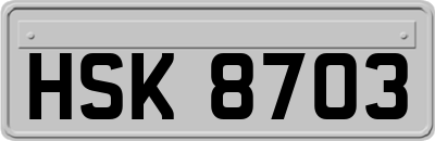 HSK8703