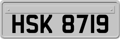 HSK8719