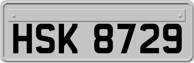 HSK8729