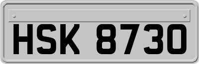 HSK8730