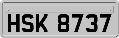 HSK8737