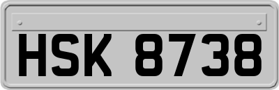HSK8738
