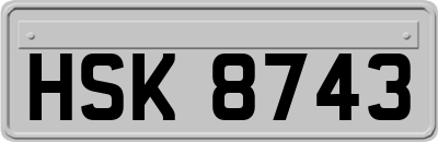 HSK8743
