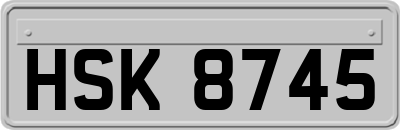 HSK8745