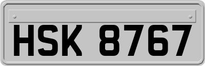 HSK8767