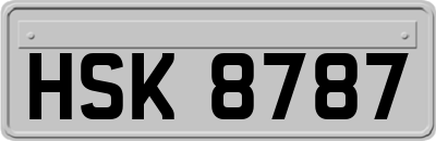HSK8787