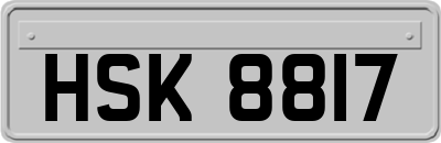 HSK8817