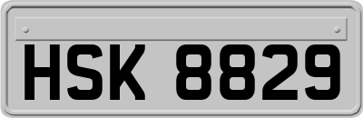HSK8829