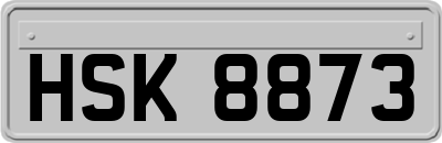 HSK8873