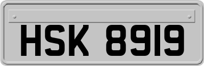 HSK8919