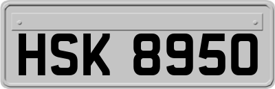 HSK8950