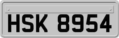 HSK8954