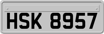 HSK8957