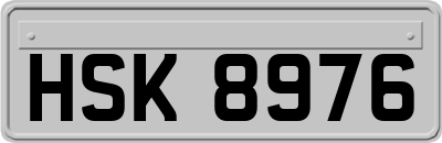 HSK8976