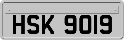 HSK9019
