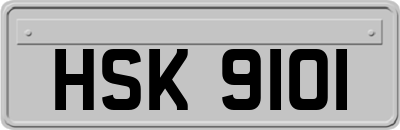 HSK9101