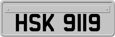 HSK9119