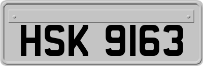 HSK9163